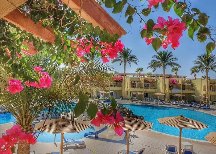 Palma 4*